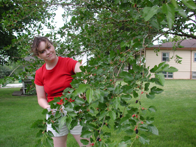 Berry Picking Photo 01