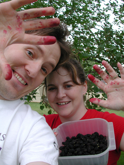 Berry Picking Photo 01