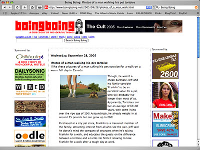 Screenshot of BoingBoing.net Tortoise walking story