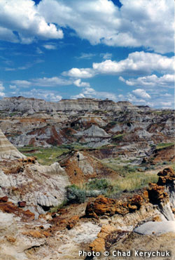 Photo of Dinosaur Provincial Park by Chad Kerychuk.