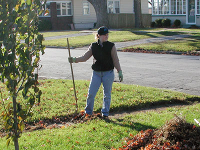 Photo of April Kerychuk raking leaves.