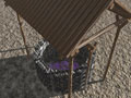 3D Portfolio - Quest Market Well - Image Link