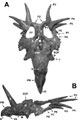 MJR Dino Thesis Mark Schultz Illustration - Image Link