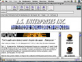 LS Enterprises Website Screenshot