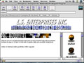 LS Enterprises Inc Website Design 02 Image Link