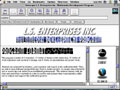 LS Enterprises Inc Website Design 06 Image Link